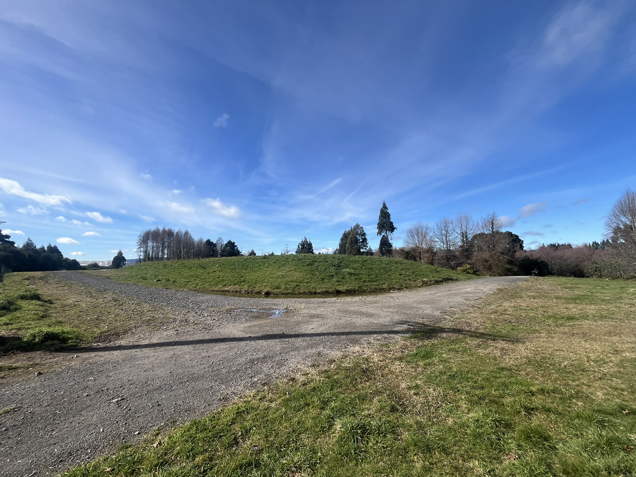 The hill at Linton Park East reserve