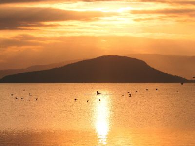 #2 Te Tau Taiāo - at one with nature